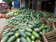Lots of water melons at market Mandalay in Myanmar