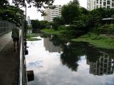 A walk along a canal not far from Sukhumwit