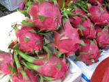 The beautiful dragon fruit
