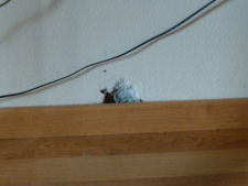 Not a lot of focus on details at Fleischers hotel in Voss - there was a hole in the wall