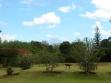 Mawenzi seen from Marangu hotel