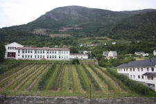 View from the room in Hotel Ullensvang in Hardanger