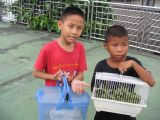 Boys with some huge beetles in Bangkok