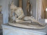 A dying Galatian at Palazzo Nuovo