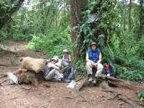 Lunch break in the cloud forest on the way to Machame camp