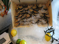Oysters at Fazaris during Friday brunch