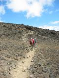 On the trail between Shira and Barranco