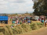 Saturday market outside Moshi