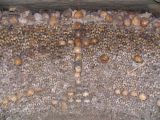 Skulls and bones at the Paris catacombs