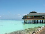 The best place to snorkle on the island was at the Italian restaurant Alpontile
